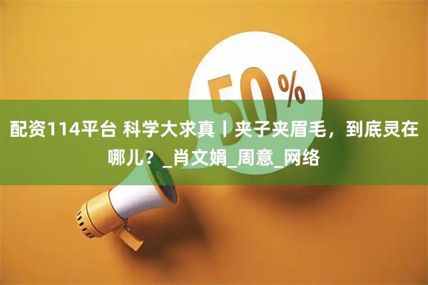 配资114平台 科学大求真丨夹子夹眉毛，到底灵在哪儿？_肖文娟_周意_网络