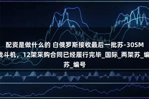 配资是做什么的 白俄罗斯接收最后一批苏-30SM2战斗机，12架采购合同已经履行完毕_国际_两架苏_编号
